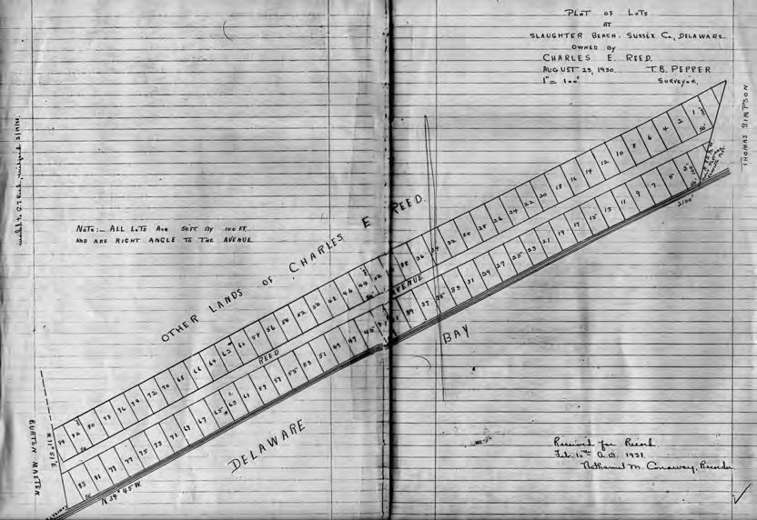 Plot of lots at Slaughter Beach owned by Charles E. Reed, surveyed August 25, 1930 by T. B. Pepper