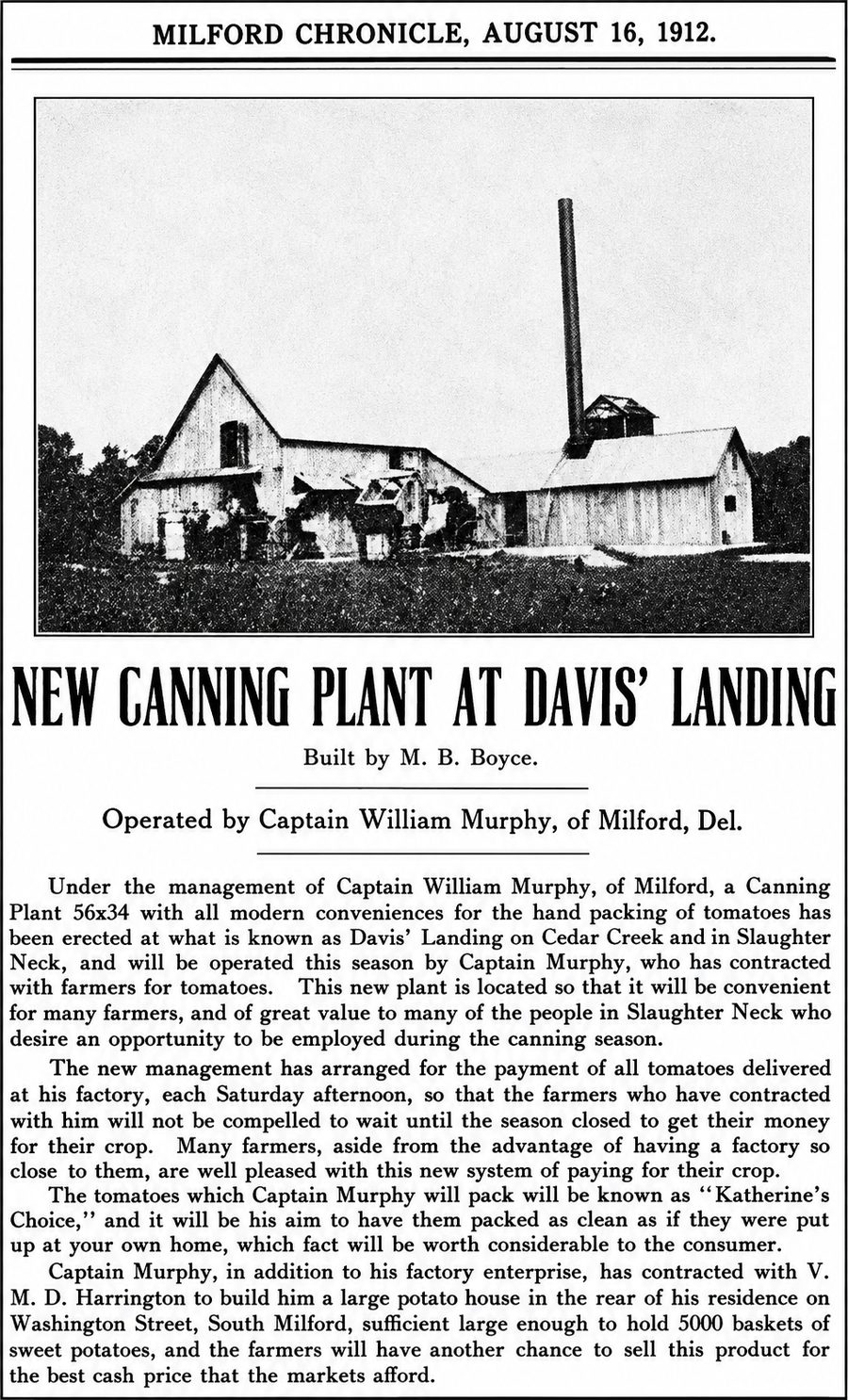 Murphy's Cannery as pictured in the Milford Chronicle, August 16, 1912