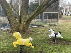 Two spring riders, a yellow and a white horse, on the lawn of the Slaughter Beach Memorial Park with the tennis court fence behind