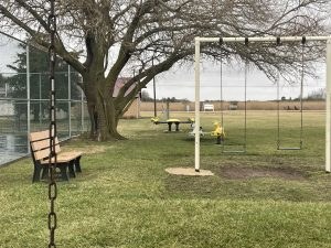 Swing set and a bench under a large tree at the Slaughter Beach Memorial Park, with the marsh beyond