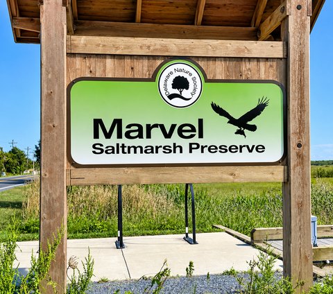 Green Delaware Nature Society sign reading Marvel Saltmarsh Preserve with a flying osprey, mounted on a wooden frame beside the road